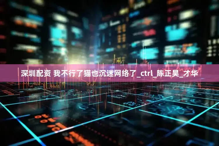 深圳配资 我不行了猫也沉迷网络了_ctrl_陈正昊_才华