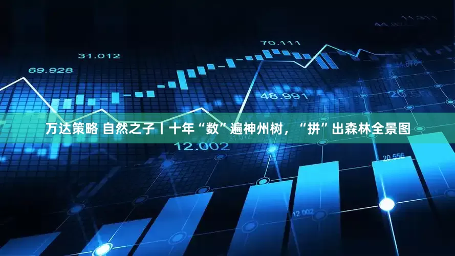 万达策略 自然之子丨十年“数”遍神州树，“拼”出森林全景图